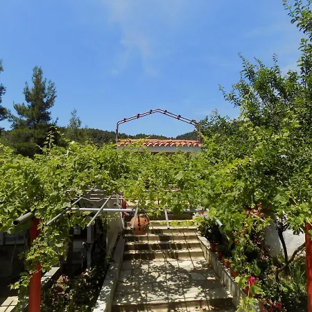 Adamadios Green House 斯科派洛斯