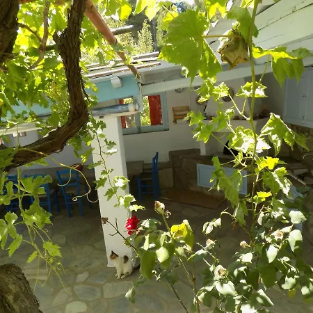 Adamadios Green House 度假居 斯科派洛斯